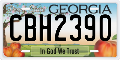 GA license plate CBH2390