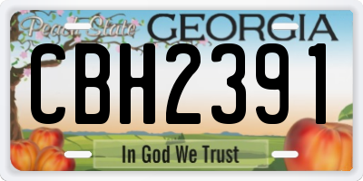 GA license plate CBH2391