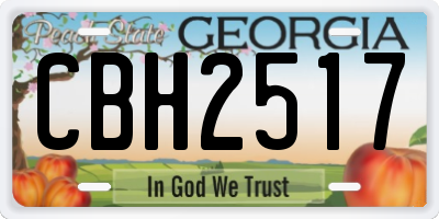 GA license plate CBH2517