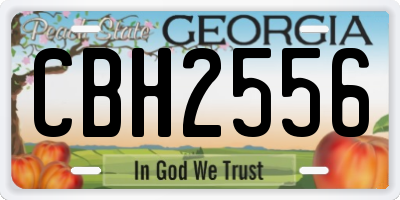 GA license plate CBH2556