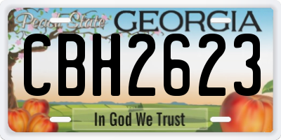 GA license plate CBH2623