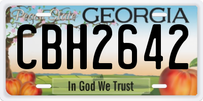 GA license plate CBH2642