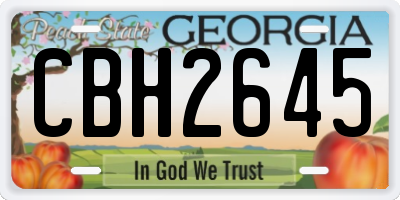 GA license plate CBH2645