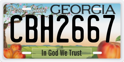 GA license plate CBH2667