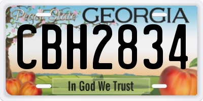 GA license plate CBH2834