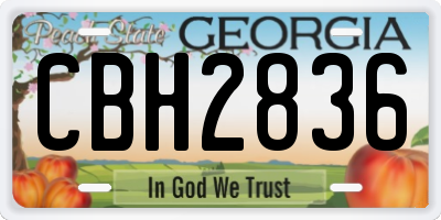 GA license plate CBH2836