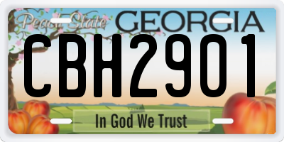 GA license plate CBH2901