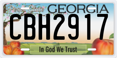 GA license plate CBH2917