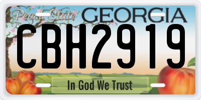 GA license plate CBH2919
