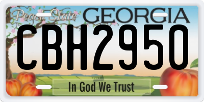 GA license plate CBH2950