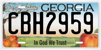 GA license plate CBH2959