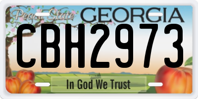 GA license plate CBH2973