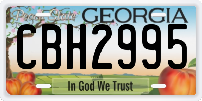 GA license plate CBH2995