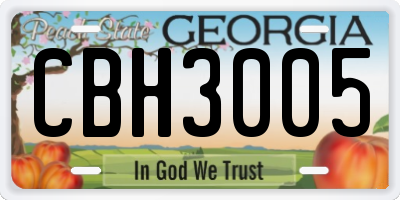 GA license plate CBH3005