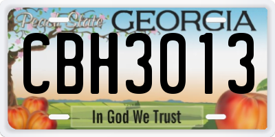 GA license plate CBH3013