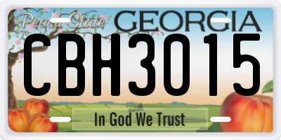 GA license plate CBH3015