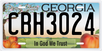 GA license plate CBH3024