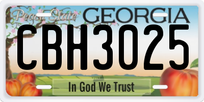 GA license plate CBH3025