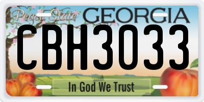 GA license plate CBH3033
