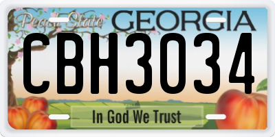 GA license plate CBH3034