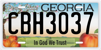GA license plate CBH3037