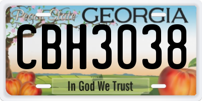 GA license plate CBH3038