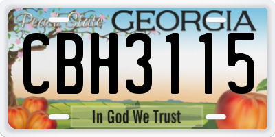 GA license plate CBH3115