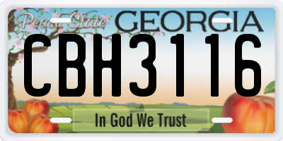 GA license plate CBH3116