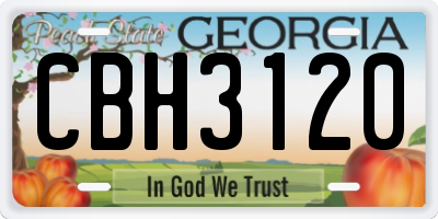 GA license plate CBH3120