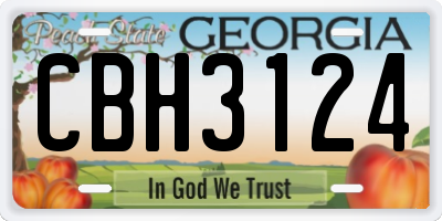 GA license plate CBH3124