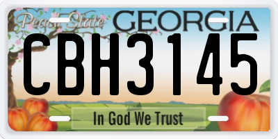 GA license plate CBH3145