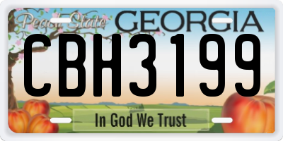 GA license plate CBH3199