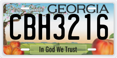 GA license plate CBH3216