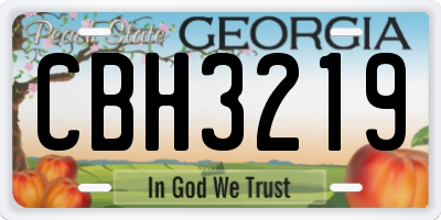 GA license plate CBH3219