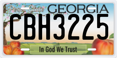 GA license plate CBH3225