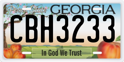 GA license plate CBH3233