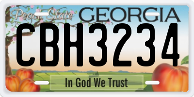 GA license plate CBH3234