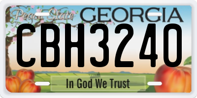 GA license plate CBH3240