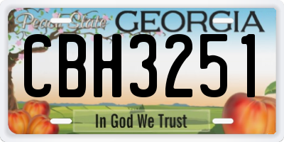 GA license plate CBH3251