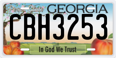 GA license plate CBH3253