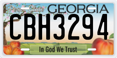 GA license plate CBH3294