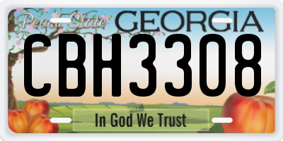 GA license plate CBH3308