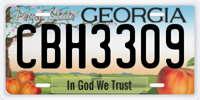 GA license plate CBH3309