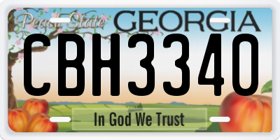 GA license plate CBH3340