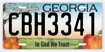 GA license plate CBH3341