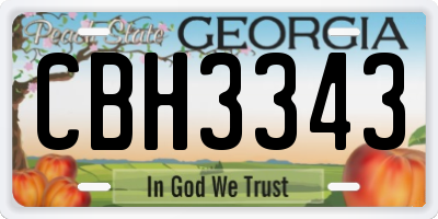 GA license plate CBH3343