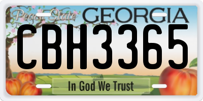 GA license plate CBH3365