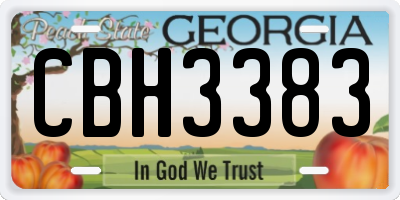 GA license plate CBH3383