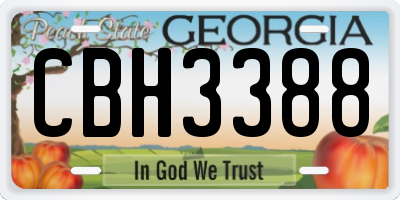GA license plate CBH3388