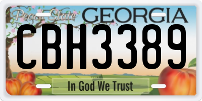 GA license plate CBH3389